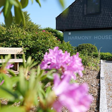 Harmony House Hotel Handewitt Kültér fotó